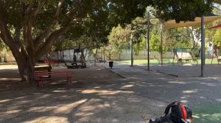 במסגרת הסדר וארגון פארק גמאל עבד אל נאצר, פונה הפארק מכל האורוות והסוסים, על מנת לשמור על ניקיון וארגון הפא…