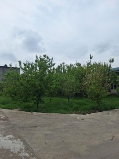 Arendaga joy bor Nijiloy