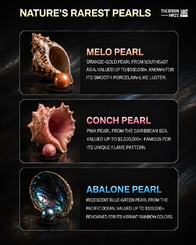 Melo, Conch, and Abalone pearls are among the rarest pearls in the world.
