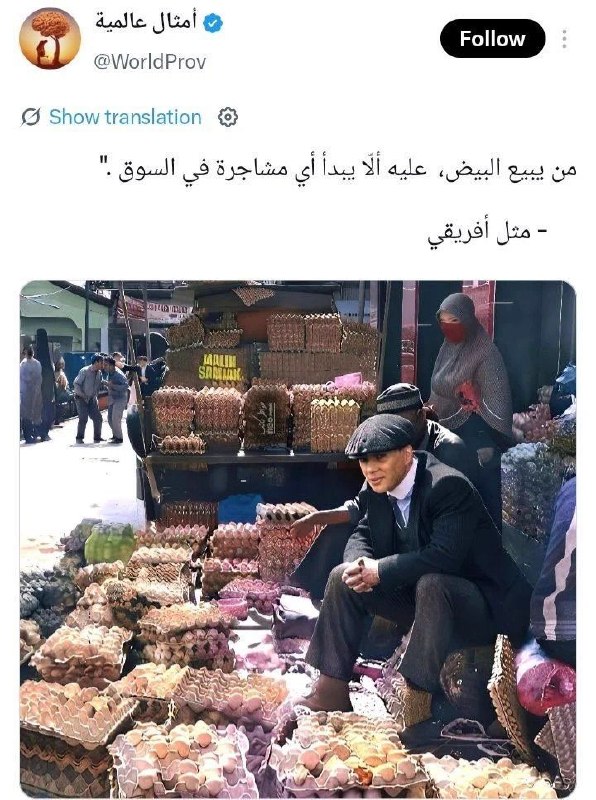 مطالب ده ریشتری: کسی که تخم‌مرغ می‌فروشد نباید توی بازار دعوا راه بیندازد.ضرب‌المثل آفریقاییMehdi Shahmardi