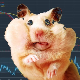 Telegram profile photo for Биржа, деньги, хомяки