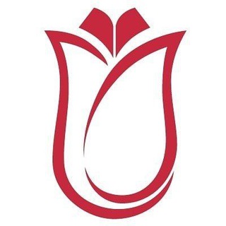 Turkiya Burslari 2026