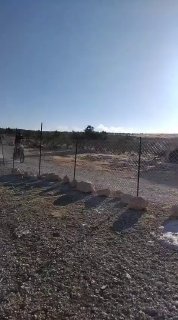 מתנחלים משתוללים בין בתי פלסטינים בכפר אל-מיניה, מדרום-מזרח לבית לחם.