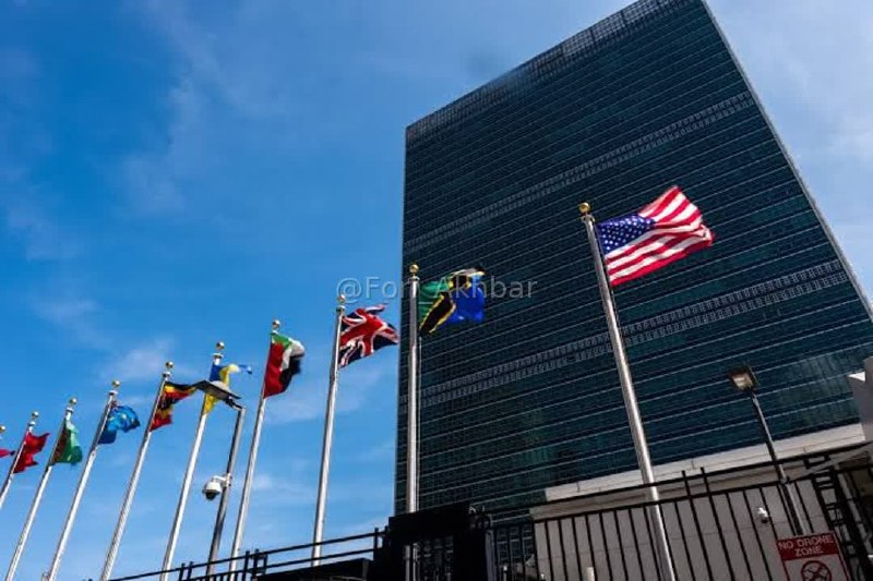 اخبار فوری ایران و جهان: هماهنگکننده ارشد سازمان ملل برای ابولا اعلام کرد شیوع ابولا در کنگو با سرعتی تصاعدی در حال گسترش است.🆔 @Fori_Akhbar | ا