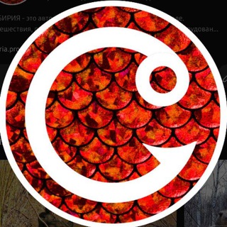 Telegram profile photo for СИБИРИЯ