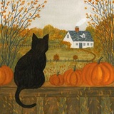 Study🎃