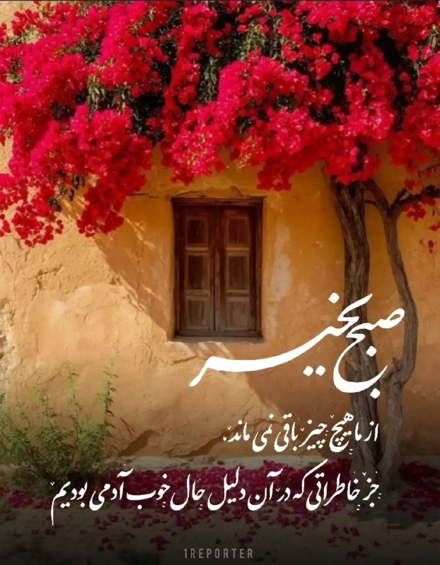 پایگاه خبری صبح قزوین: صبح بخیر 🌸⚘️ از ما هیچ چیز باقی نمی ماند، جز خاطراتی که در آن، دلیل حالِ خوبِ آدمی بودیم...📮ارتباط با ادمین👈@Hadi_T73📡 ک