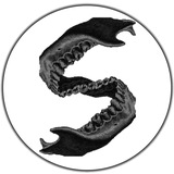 SemDent: EXOCAD