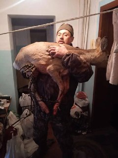 В Красноярском крае «испуганная косуля» запрыгнула в квартиру, разбив окно, и «начала хаотично перемещаться по комнатам», ее поймали и доставили в ветклинику, где оказали помощь — МВДИнцидент произошел в городе Назарово. Состояние косули стабилизировалось,