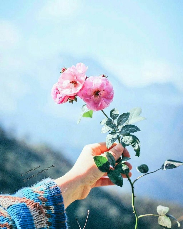 💖 کانال شمیم عشق 💖: اگر به جای محبتی، که به کسی کردیداز او بی مهری دیدیدمایوس نشویدچون برگشت آن محبت را ازشخص دیگریدر زمان دیگریدر رابطه بام