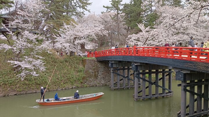 2023弘前城賞櫻記