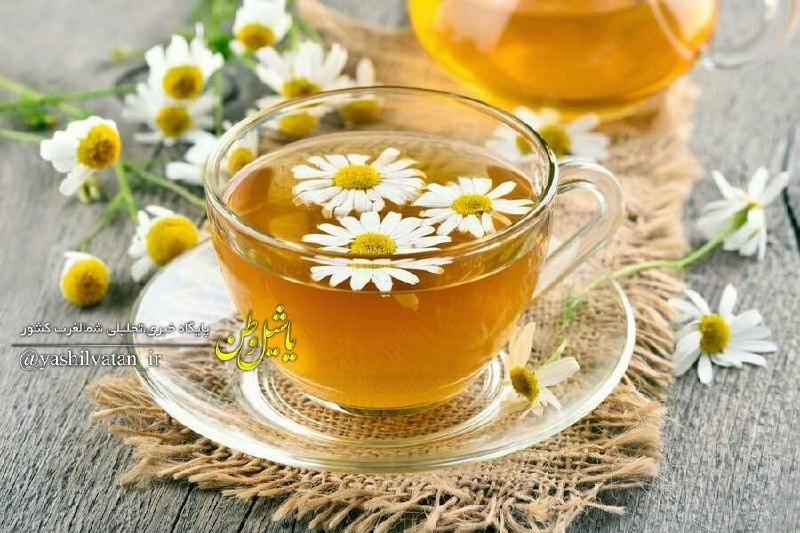 یاشیل وطن _ اخبار روز: 🔰🚩آنتی بیوتیکهای گیاهی● سیر+ماست قبل شام● زنحبیل بهمراه عسل وآبلیمو بعد صبحانه● دمنوش بابونه قبل نهار● دوغ به همراه پونه