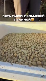 בסנט פטרסבורג בישלו גיגית שלמה של כופתאות.
