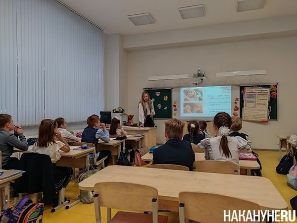 הרשויות הולכות להפוך 40% מהמורים לצעירים על פי התוכניות של משרד החינוך של הפדרציה הרוסית, עד שנת 2030 חלקם…