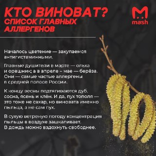 Нынешняя весна будет самой жёсткой для аллергиков за последние 10 лет. Из-за резкого потепления уже началось цветение ольхи и орешника, на подходе — берёза и прочие чихотные, от которых ещё помучаемся.Короче: почва не мёрзла, а периоды цветения наложились 