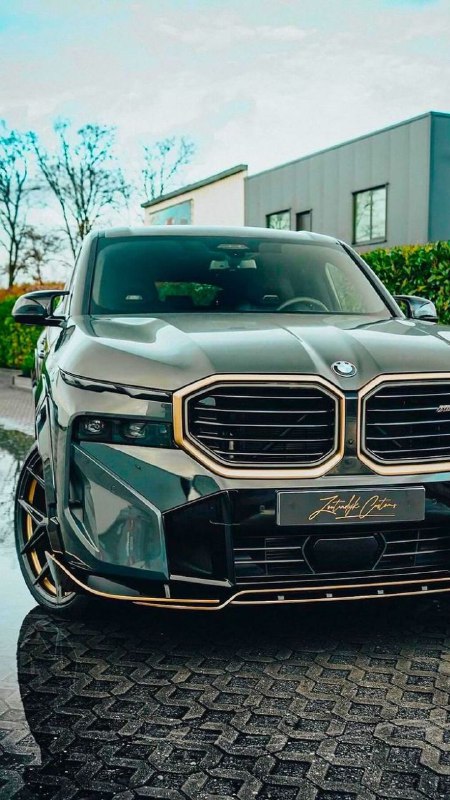https://t.me/bmw_mpower_club
