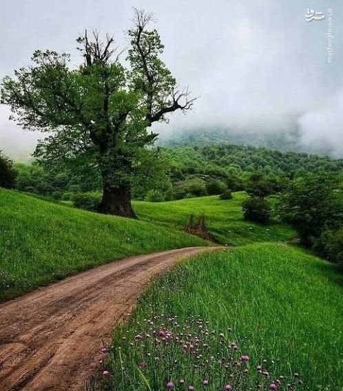 هەوشار هەوال تکاب: 🗓 امروز دوشنبه 🌼 ۲۶ مرداد ۱۴۰۵🌼 ۴ ربیع الاول ۱۴۴۷🌼 ۱۷ آگوست ۲۰۲۶ 💯هه‌وشار هه‌وال:@hawshar1