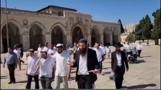חילול ושתיקה איסלאמי ובינלאומי...מתנחלים מחללים הבוקר את מסגד אל-אקצא המבורך