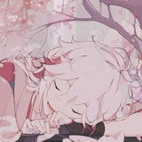 .｡.:*𝒞ℴ𝒸ℴ𝓃𝓊𝓉 𝓇𝒶𝒻 *+:｡.｡🍂