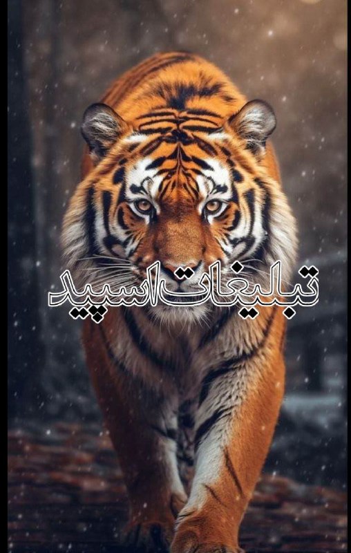 لینکدونی گروه چت بیرجند: ❶﹚ نام : ⎯꯭᪵̽𝆺꯭𝅥𝐖𝐈𝐋𝐃𓆩᪵🜲꯭𓆪̥𝐖𝐎𝐋𝐅⎯꯭꥓᪵ͯ⟶❷﹚ نو؏ تبلیغات : #telegram❸﹚ توضیحات :𝑊𝐸𝐿𝐶𝑂𝑀𝐸 𝑇𝑂┈┈∘┈˃‌༒˂‌┈∘┈┈#𝑨𝑩𝑹𝑮𝑷 𝐖𝐈𝐋𝐄𝐃𝐖𝐎𝐋𝐅 sɨռᴄɛ" 