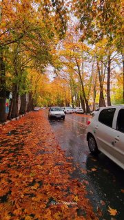 🔥فال و آسترولوژی زرتشت 🔥: 🍂به مسیر زندگی‌ام که نگاه می‌کنم،آدمی را میبینم که در هر زمان و درهر اتفاق، به اندازه رشد همان زمانشتصمیم گرفته و جلو رف