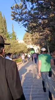 רשת חדשות ירושלים
