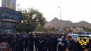 🎥 הטקס המסורתי של קטיף דקלים נערך בטאפט, יזד