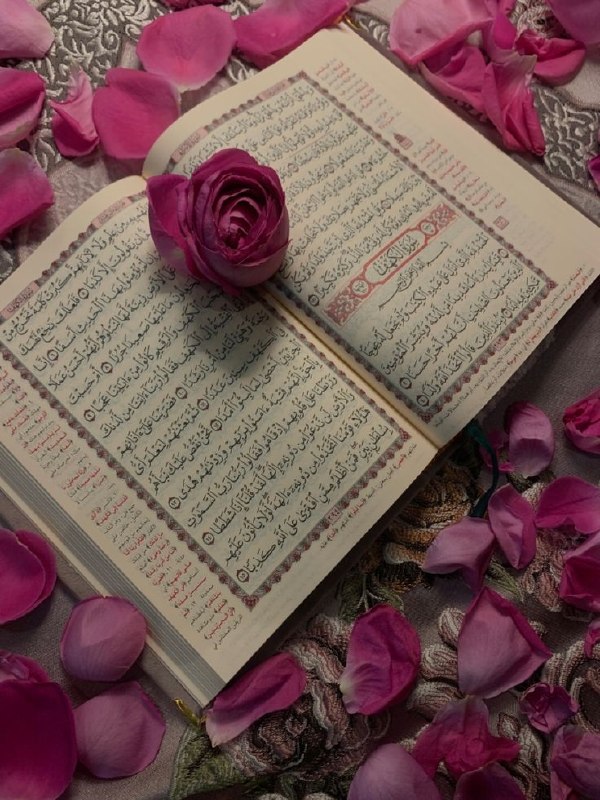 الباقيات الصالحات: رسانه پست