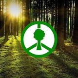 🏞 Проект "Чистый Лес"