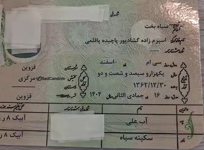 彡 🥰 طَِنَِزَِ🤪گَِیَِفَِ🙃اَِسَِتَِیَِکَِرَِ☺َِ️َِکَِلَِیَِپَِ عَِاَِشَِقَِاَِنَ 彡: تصویری از طولانی و عجیبترین فامیلی در ایران😐