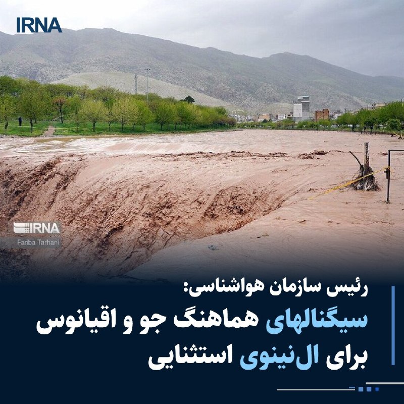 The head of the meteorological organization said: