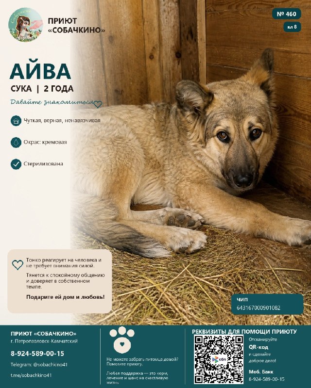 @help_animal41 posted a photo