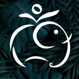 🇮🇳 Хинди - легко! Индия 🪔