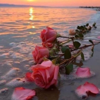 گروب لمـتنهہ‏‏ آلحلوهہ‏‏