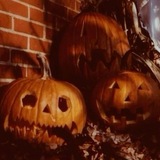 🎃Тыквенная Грядка🎃