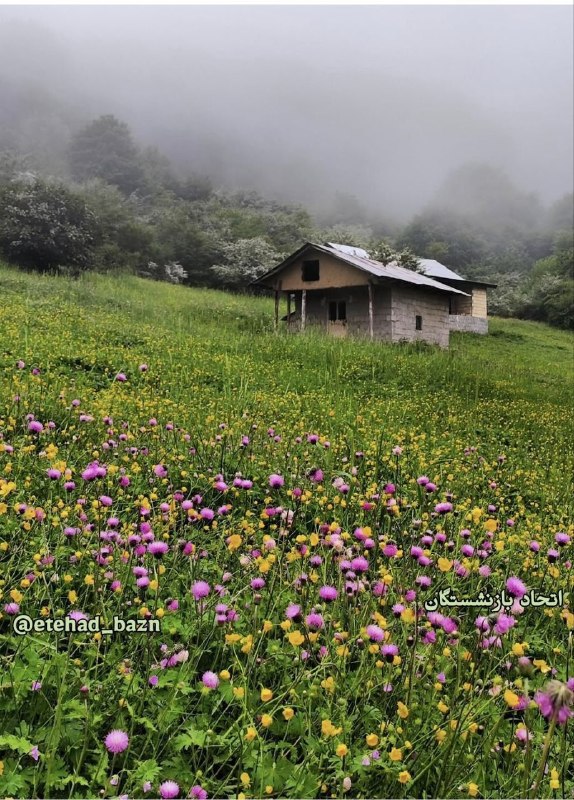 اتحاد بازنشستگان: 🍃🍃 دوشنبه ۲۶ مرداد ۱۴۰۵۱۷ آگوست ۲۰۲۶۴ ربیع‌الاول ۱۴۴۸اتحاد بازنشستگان@etehad_bazn