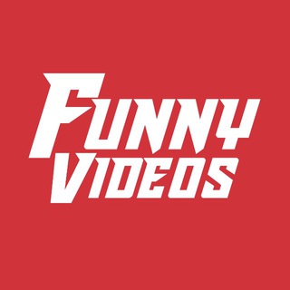 Funny Videos Telegram Group Link