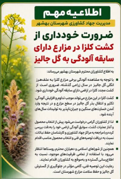Gorji's Festivals: ⛔️⛔️⛔️⛔️اطلاعیه مهم مرکز جهاد کشاورزی دهستان کوهستان⛔️⛔️⛔️⛔️ضرورت خودداری از کشت کلزا در مزارع دارای سابقه آلودگی به گل 
