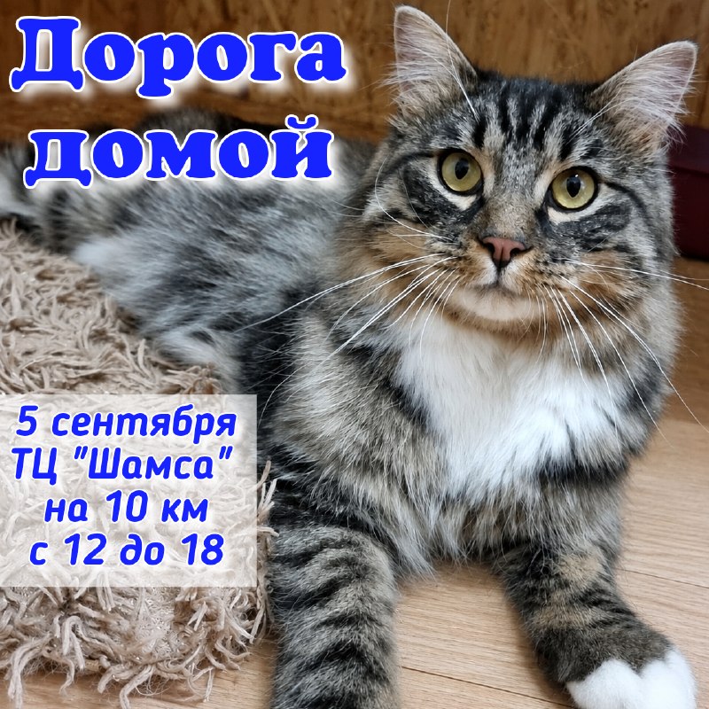 Друзья, приглашаем вас завтра в ТЦ "Шамса" на 10 км...