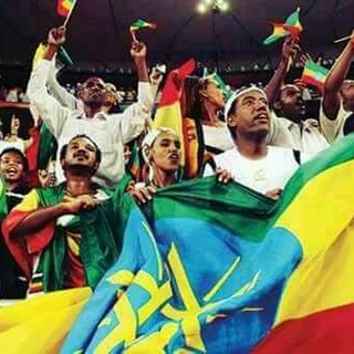 Scholarship in Germen and poland📖🔭🔬📓📕📚📚 Telegram Group Link