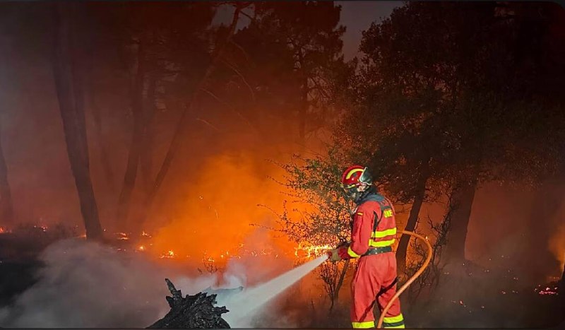 כ-12,000 דונם של יערות אראגון בספרד נהרסו בשריפה.