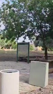 🔸 ביום שישי, 23.8, פרסם החשבון "שבויים בפרסית" סרטון של שני צבאים צהובים איראנים בגן הלאומי ברעם שבאזור הג…