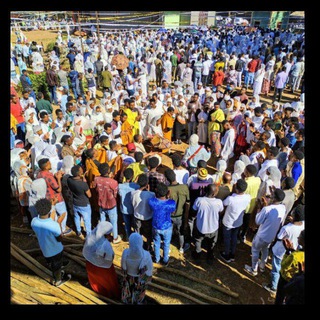 Telegram profile photo for የሽብሸቦ መዝሙሮች👏👏👏