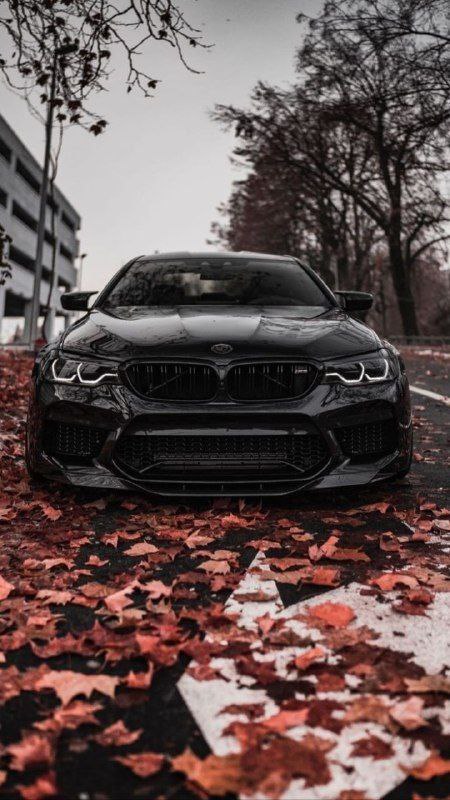 https://t.me/bmw_mpower_club