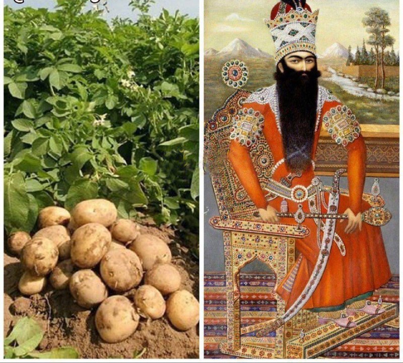 شبکه باران: جان مَلکُم از دیپلمات های انگلیسی بود كه در دهه1800سيب زمينى را به ايران آوردآنرا به فتحعلى شاه هديه دادتاقبل از آن دراي