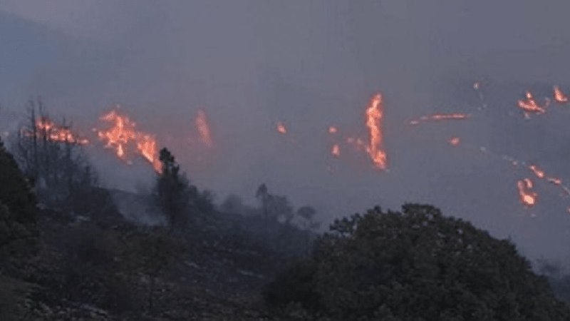 اخبار مازندران: وقوع آتش‌سوزی و تداوم حریق در ارتفاعات جنگل های مازیچال کلاردشت 🔹️ مدیرکل منابع طبیعی و آبخیزداری غرب استان مازندران _ ن