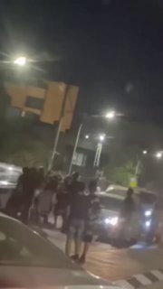 אור רביד