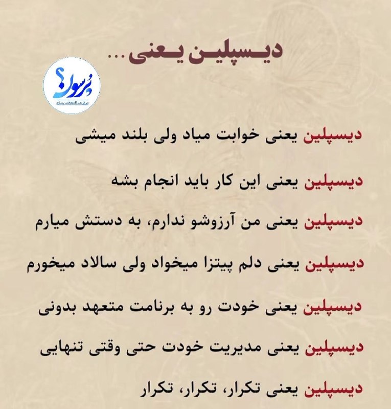 سایت خبری پُرسون: 🔴پُرسون و نیم گفته های امشب| دیسپلین یعنی...┄┅┅══✧❀❀❀❀❀❀❀✧══┅┅┄📡 فرکانس اخبار لحظهای پُرسون؛ 🆔 @purson_ir 🌍 purson.ir