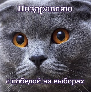 Министр обороны Израиля назвал «целью для ликвидации» любого лидера ИранаГлава Минобороны Израиля Исраэль Кац поручил армии обороны Израиля «подготовиться и действовать всеми средствами для выполнения этой миссии». По его словам, не имеет значения имя этог