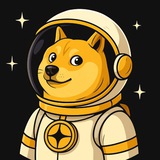 Aster Doge 🔶 Portal